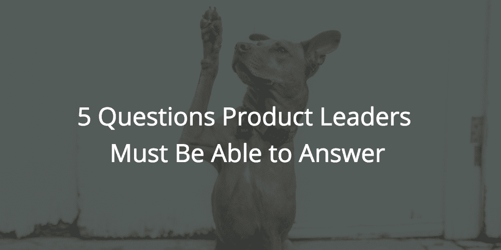 5 Questions Product Leaders Must Be Able to Answer Image